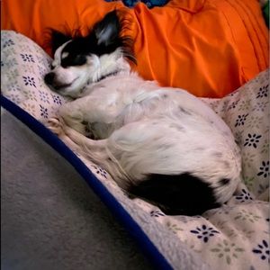 Meet your Posher, Shauna